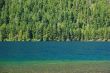 Forest and lake