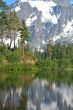 Scenic Mountain landscape