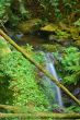 Waterfall in the forest