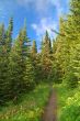 Scenic Mountain landscape