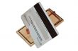 mousetrap wtih credit card