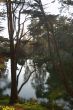 afternoon in the park