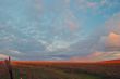 afternoon field
