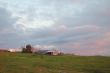afternoon field