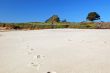 trascks in the sand