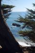 Coastal Views