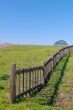springtime coastal meadow