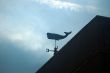 weathervane