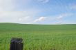 Camera pointed at grass