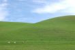 green hillside