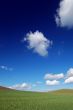 field and sky