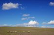 country field