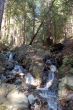 waterfall in the forest
