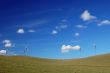 country field