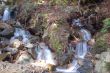 waterfall in the forest