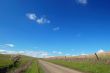 Country Road