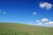 country field