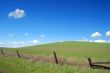 country field