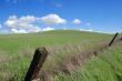 country field
