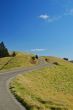 winding road on mount tamapalais