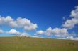 sheep grazing on the hillside