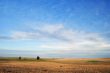 country field