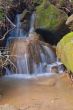 waterfall in the forest