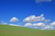 spring field