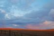 evening field