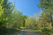spring countryside