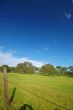 spring countryside