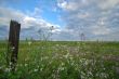 spring countryside