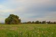 spring countryside