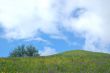 spring countryside