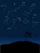 constellations 1