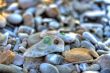 Stones and seashell