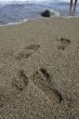 sea shore