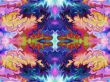 Candy Crazy