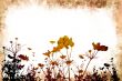 flower abstract textures and backgrounds
