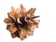 Pine cone