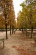 Paris park in fall
