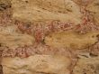 Ancients wall