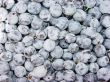 close-up blueberry