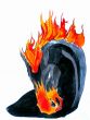 Black and fire horse