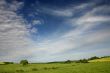 Bright summer day