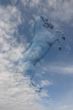 Horse in the sky: pegasus