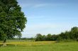 Summer landscape
