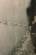 Rivets and layers of paint
