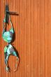 Colour Bra / door background