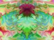 Bloom and Flow